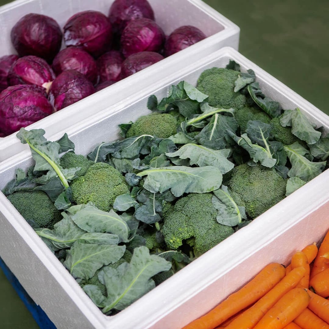 صناديق الخضار Styrofoam Vegetable Boxes